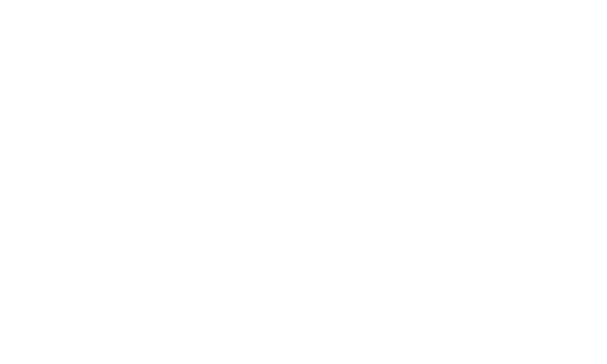 Zone Apparel logo